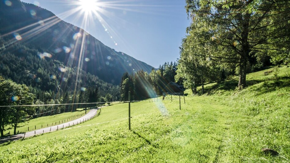 Hiking Route Untertal Valley Panoramic Tour - Touren-Impression #2.8 | © Gerhard Pilz - www.gpic.at