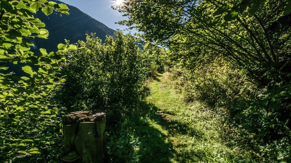 Hiking Route Untertal Valley Panoramic Tour - Touren-Impression #2.12 | © Gerhard Pilz - www.gpic.at