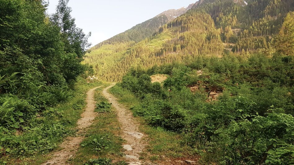 Hiking Route Untertal Valley Panoramic Tour - Touren-Impression #2.15 | © Gerhard Pilz