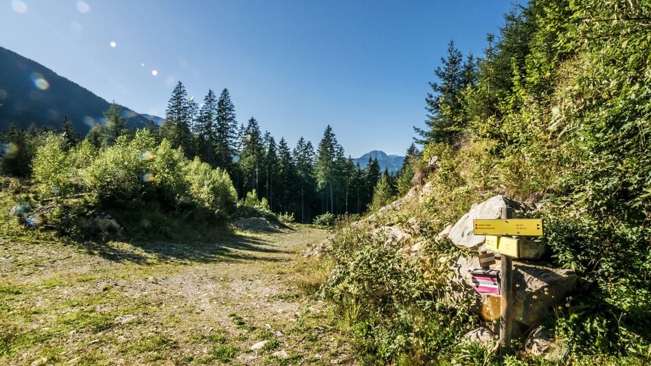 Hiking Route Untertal Valley Panoramic Tour - Touren-Impression #2.16 | © Gerhard Pilz - www.gpic.at