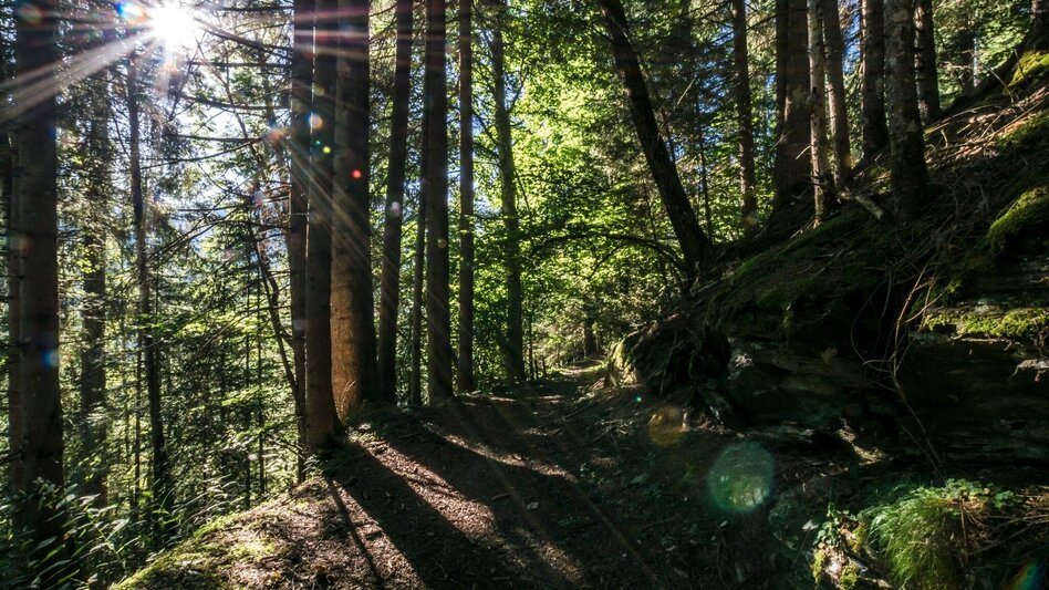 Hiking Route Untertal Valley Panoramic Tour - Touren-Impression #2.20 | © Gerhard Pilz - www.gpic.at
