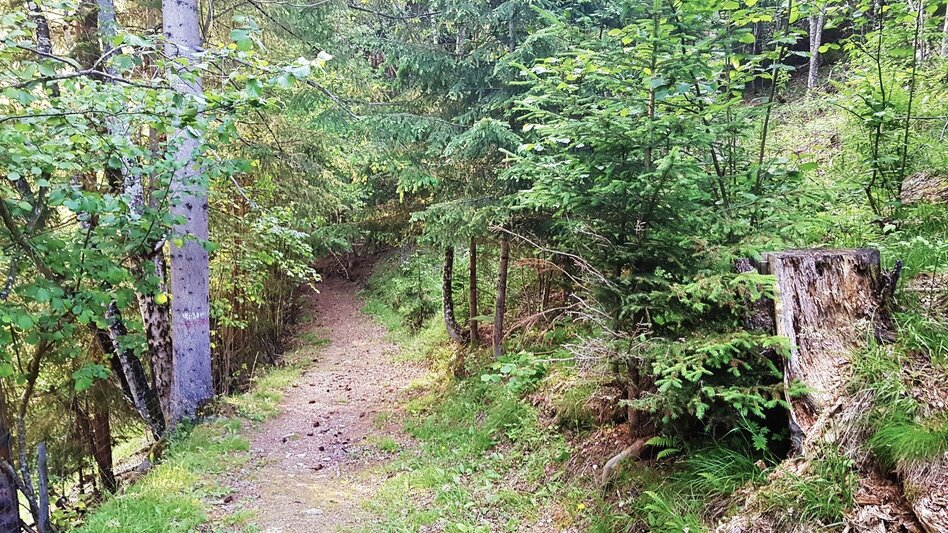 Hiking Route Untertal Valley Panoramic Tour - Touren-Impression #2.22 | © Gerhard Pilz