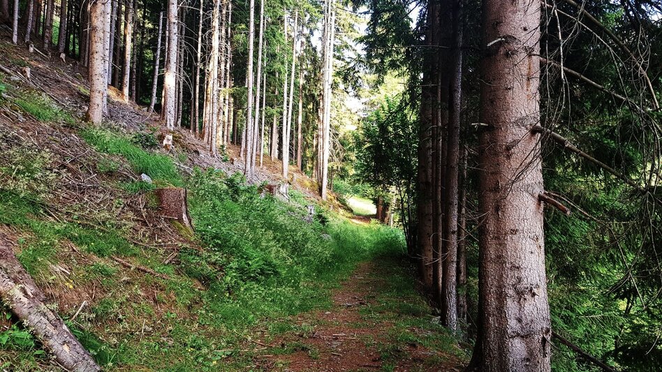 Hiking Route Untertal Valley Panoramic Tour - Touren-Impression #2.24 | © Gerhard Pilz
