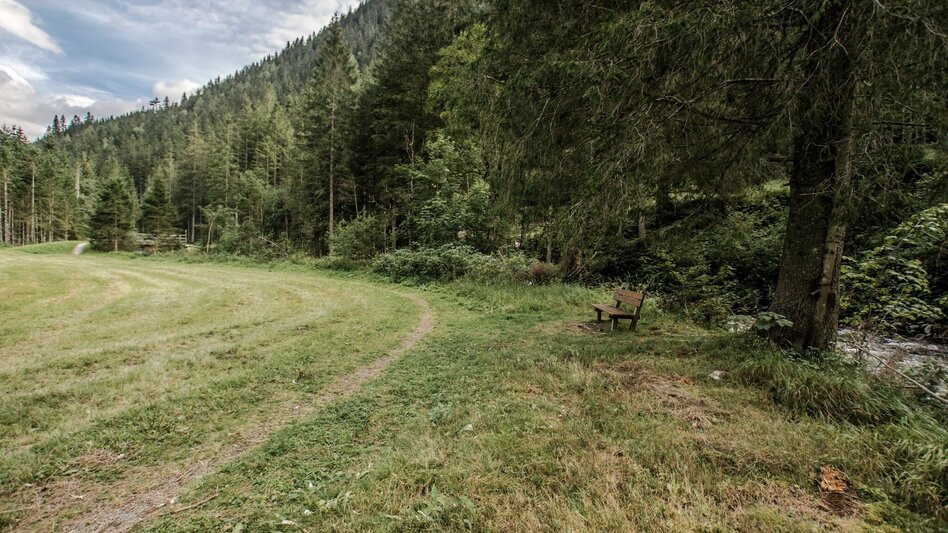 Wanderung Knappenweg - Touren-Impression #2.2 | © Tourismusverband Schladming