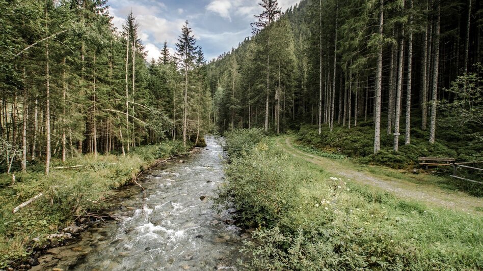 Wanderung Knappenweg - Touren-Impression #2.3 | © Erlebnisregion Schladming-Dachstein