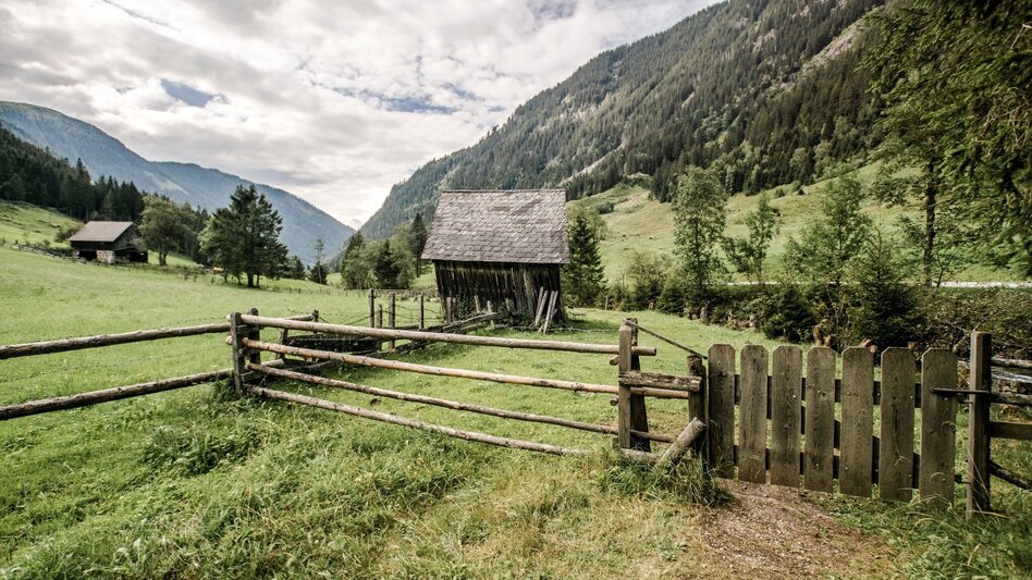 Wanderung Knappenweg - Touren-Impression #2.6 | © Erlebnisregion Schladming-Dachstein
