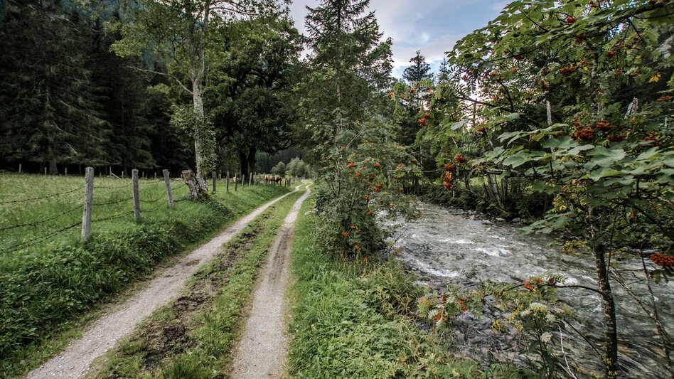 Wanderung Knappenweg - Touren-Impression #2.8 | © Tourismusverband Schladming