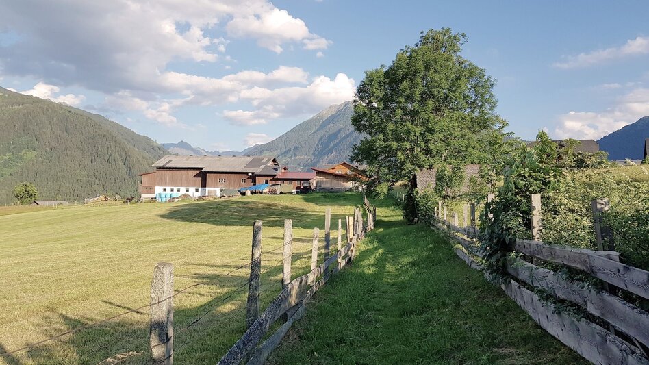 Familienwanderwege Weiderunde Rohrmoos - Touren-Impression #2.3 | © Gerhard Pilz