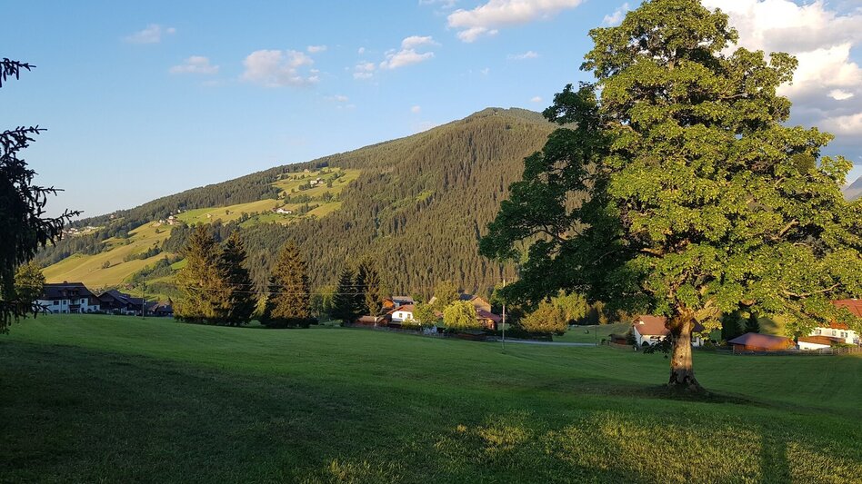 Familienwanderwege Weiderunde Rohrmoos - Touren-Impression #2.7 | © Gerhard Pilz