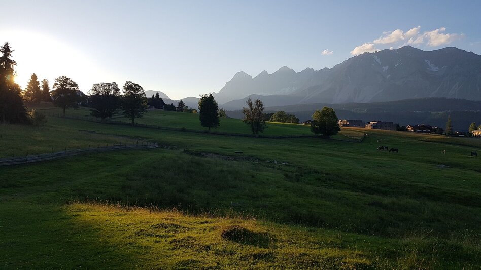 Familienwanderwege Weiderunde Rohrmoos - Touren-Impression #2.9 | © Gerhard Pilz