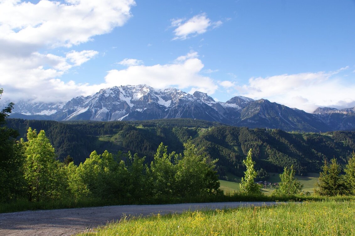 Kinderwagenmeilen Begegnungsrunde - Touren-Impression #1 | © Gerhard Pilz