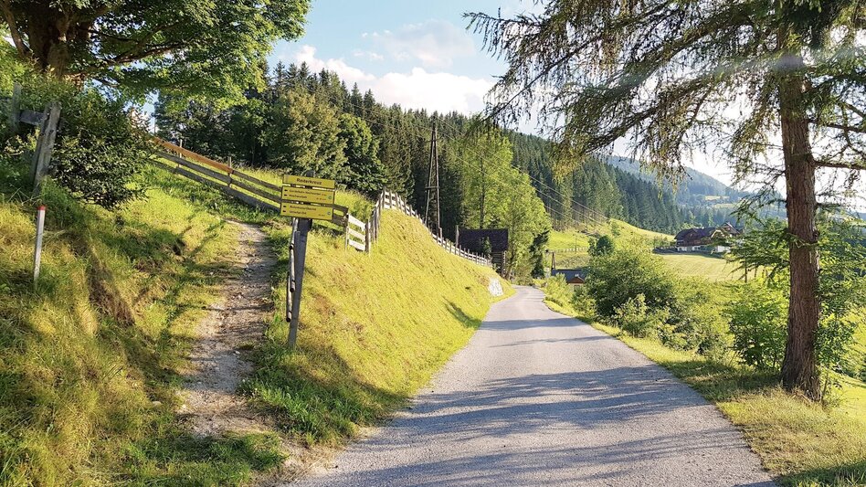 Kinderwagenmeilen Begegnungsrunde - Touren-Impression #2.2 | © Gerhard Pilz