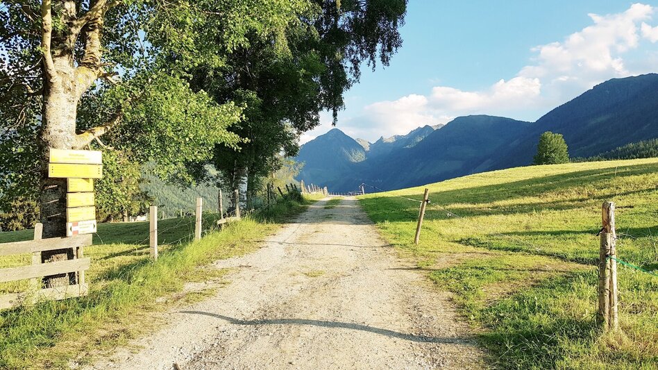 Jogging Michael Tritscher Laufrunde - Touren-Impression #2.1 | © Gerhard Pilz