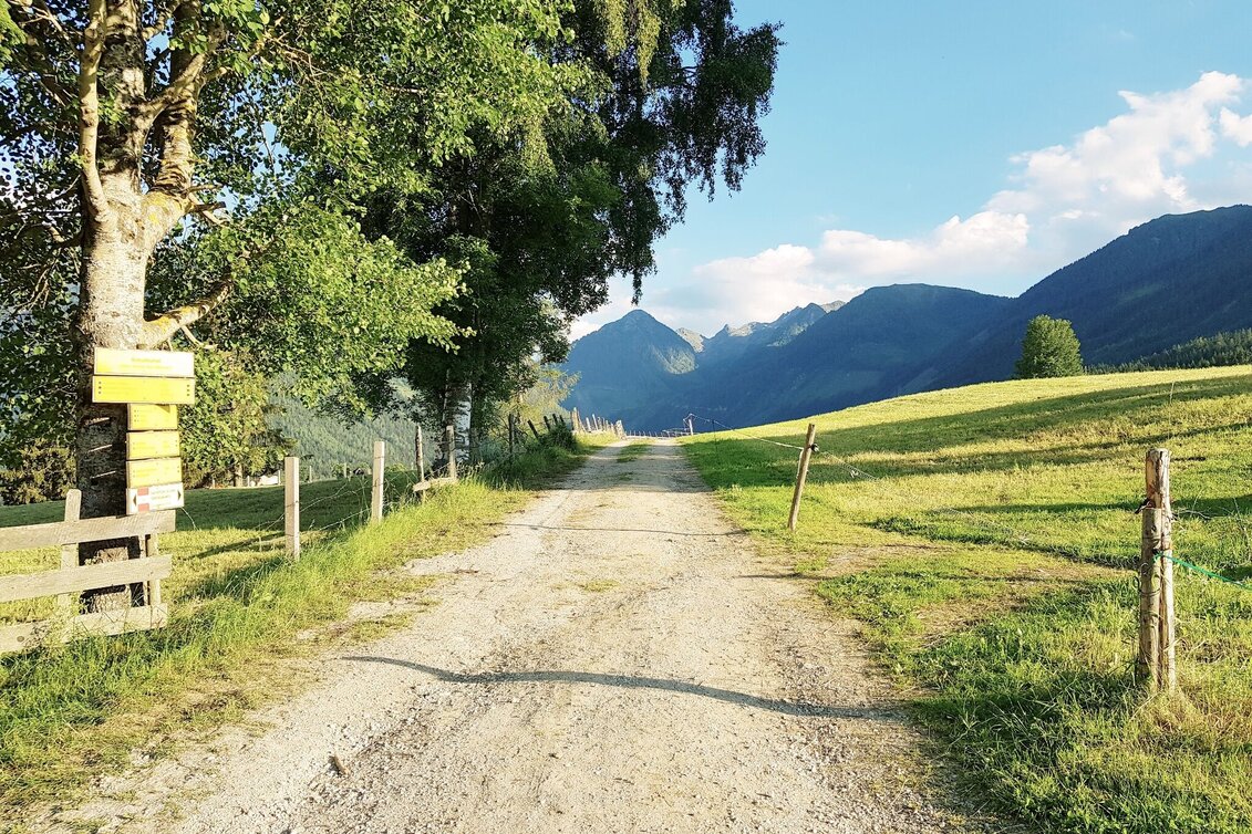 Jogging Michael Tritscher Laufrunde - Touren-Impression #1 | © Gerhard Pilz