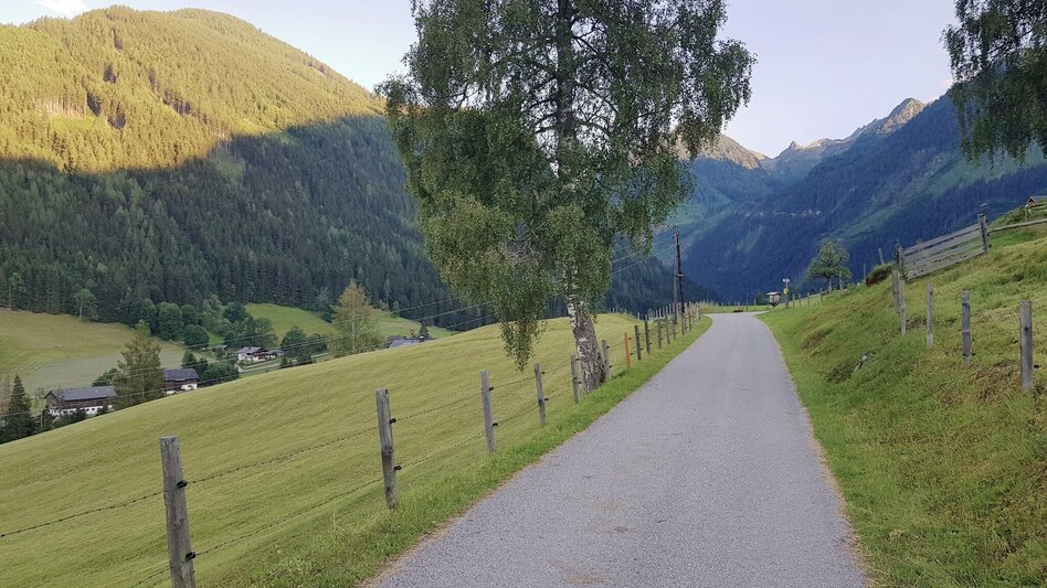 Jogging Michael Tritscher Laufrunde - Touren-Impression #2.2 | © Gerhard Pilz