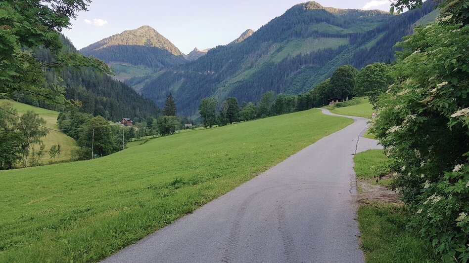 Jogging Michael Tritscher Laufrunde - Touren-Impression #2.3 | © Gerhard Pilz