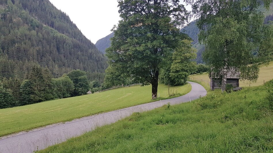 Jogging Michael Tritscher Laufrunde - Touren-Impression #2.4 | © Gerhard Pilz
