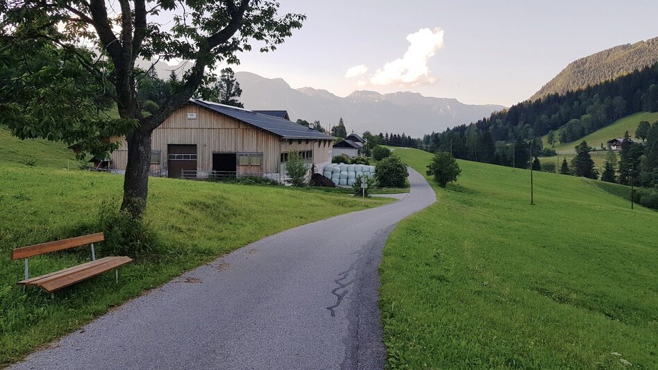Jogging Michael Tritscher Laufrunde - Touren-Impression #2.9 | © Gerhard Pilz