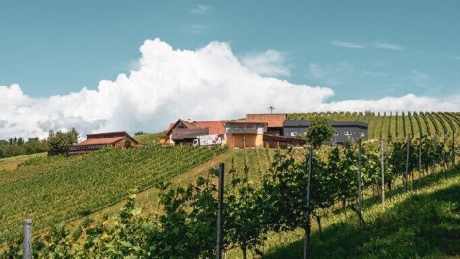 Hiking Route Vineyard Tour - Touren-Impression #2.2 | © TV Südsteiermark/Silvan
