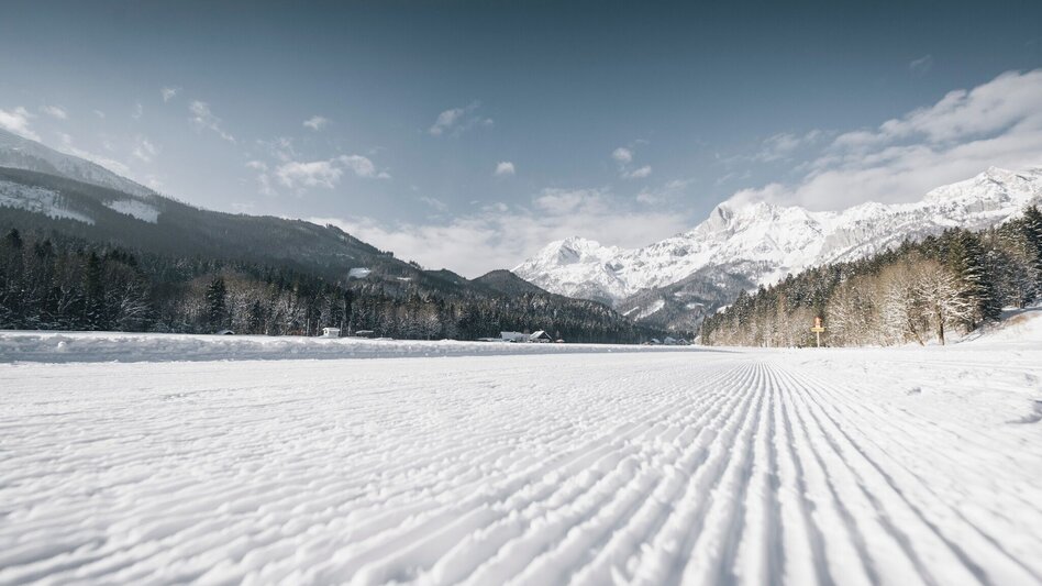 Langlauf Skating Langlaufzentrum Hall - Nationalparkloipen Zirnitz - Mühlau - Steinfeld - Touren-Impression #2.3 | © Stefan Leitner
