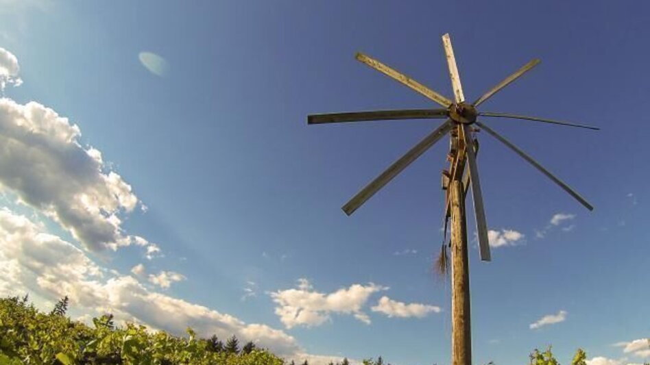Wanderung Schilcher Spritztour - Touren-Impression #2.1 | © TVB Südsteiermark/Nora Ruhri