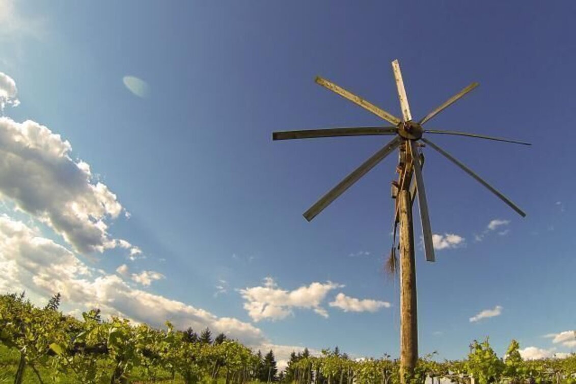 Wanderung Schilcher Spritztour - Touren-Impression #1 | © TVB Südsteiermark/Nora Ruhri