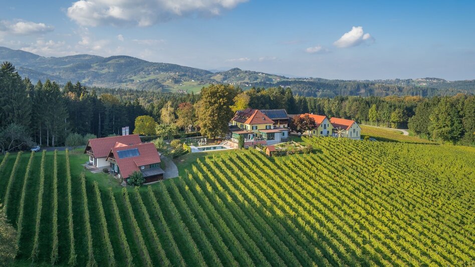 Wanderung Schilcher Spritztour - Touren-Impression #2.2 | © TVB/Südsteiermark/Nora Ruhri