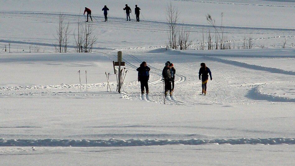 Ski-Nordic Skating Ardninger Moorloipe - Touren-Impression #2.2 | © TV Gesäuse