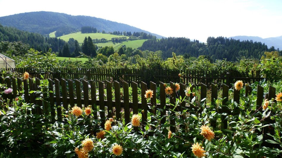 Radfahren Garten Eden-Tour, St. Kathrein am Offenegg - Touren-Impression #2.6 | © Oststeiermark Tourismus