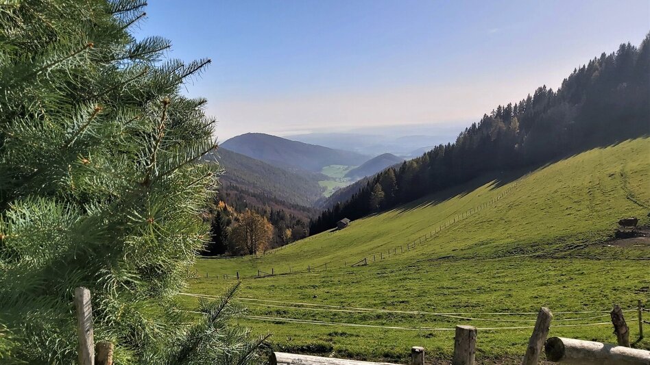 Radfahren Garten Eden-Tour, St. Kathrein am Offenegg - Touren-Impression #2.9 | © Oststeiermark Tourismus