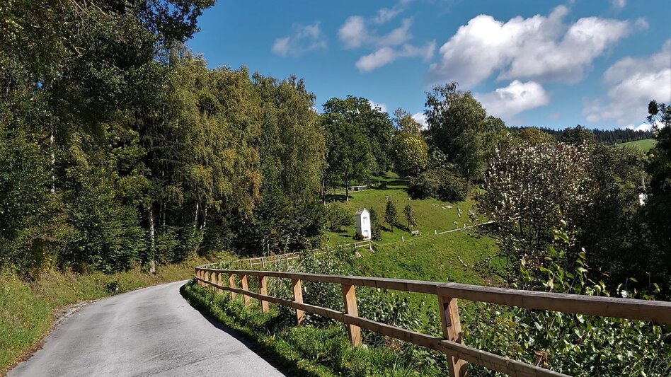 Radfahren Garten Eden-Tour, St. Kathrein am Offenegg - Touren-Impression #2.13 | © Oststeiermark Tourismus
