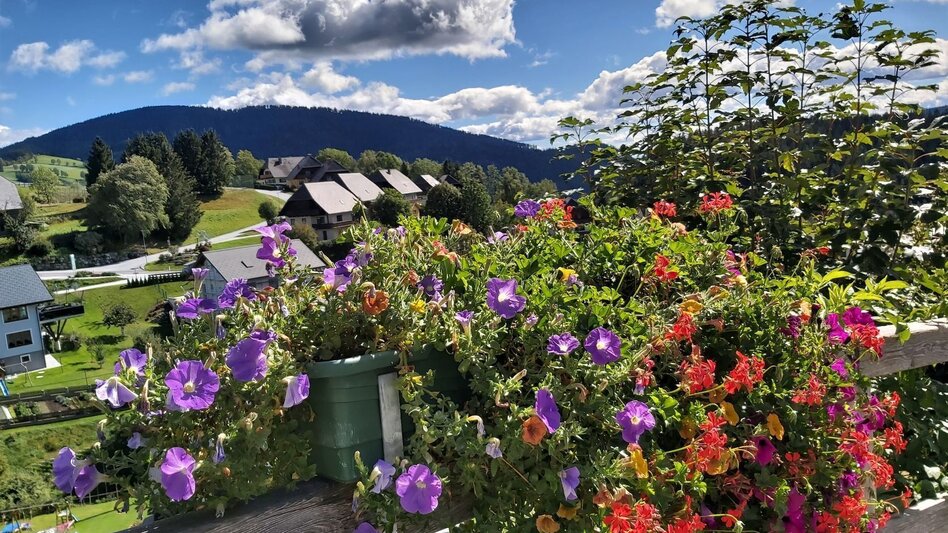 Radfahren Garten Eden-Tour, St. Kathrein am Offenegg - Touren-Impression #2.14 | © Oststeiermark Tourismus