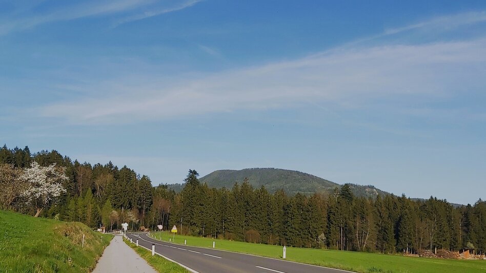 Cycling Set the Table Cycling Tour, Passail - Touren-Impression #2.14 | © Oststeiermark Tourismus