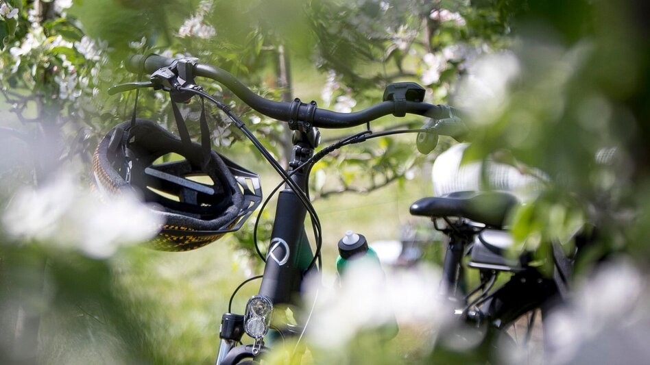 Radfahren Teich-Tour HB2, Stubenberg am See - Touren-Impression #2.2 | © Steiermark Tourismus