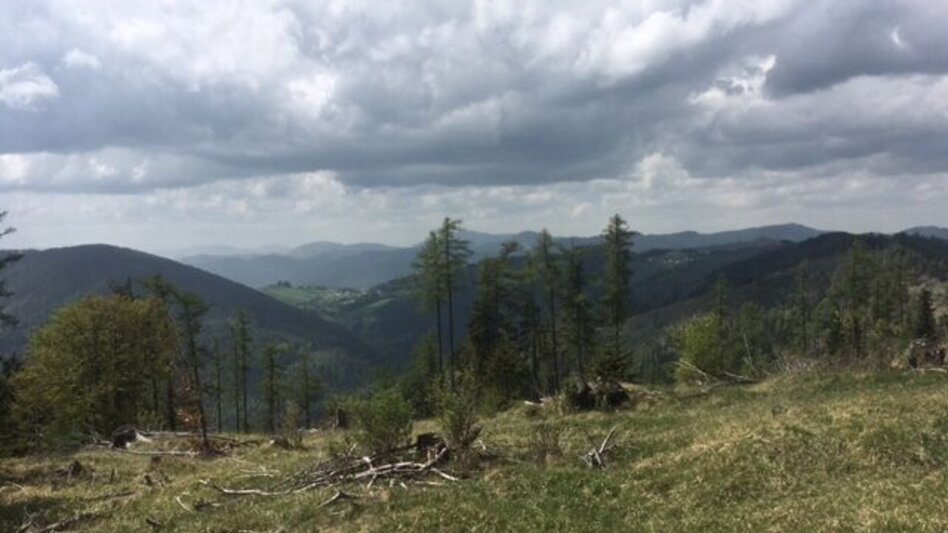 Wanderung Brandlucken-Anger über den Zetz - Touren-Impression #2.5 | © Oststeiermark Tourismus