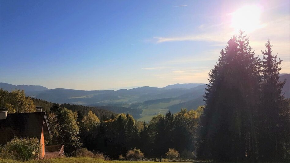 Wanderung Königskogel - Rundwanderweg - Touren-Impression #2.8 | © Oststeiermark Tourismus