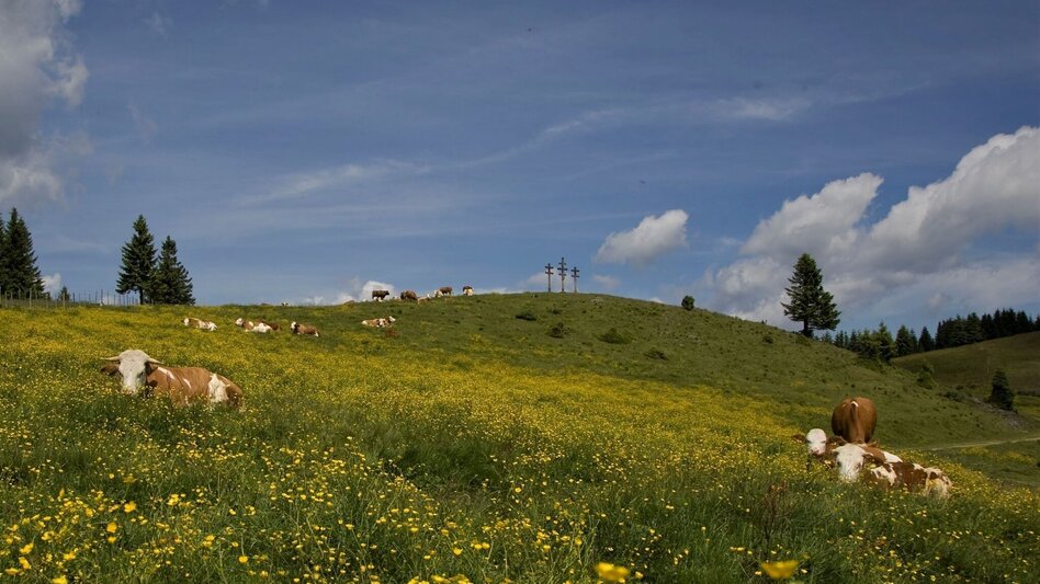Wanderung Große Almwanderung von Passail - Touren-Impression #2.1 | © Oststeiermark Tourismus