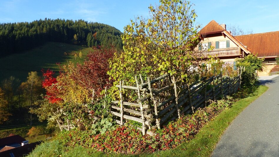 Wanderung Bergbauernrunde Gasen - Touren-Impression #2.2 | © Oststeiermark Tourismus