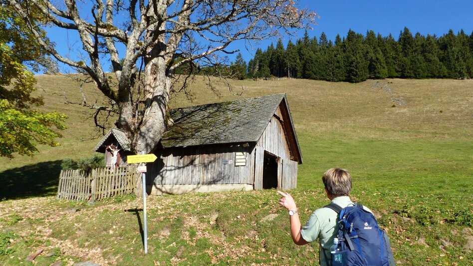 Wanderung Bergbauernrunde Gasen - Touren-Impression #2.3 | © Oststeiermark Tourismus