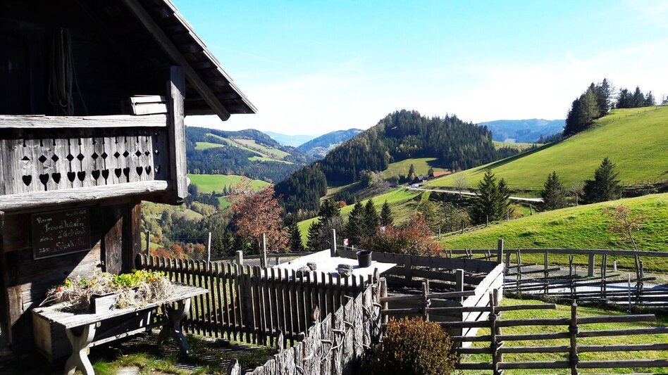 Wanderung Bergbauernrunde Gasen - Touren-Impression #2.5 | © Oststeiermark Tourismus