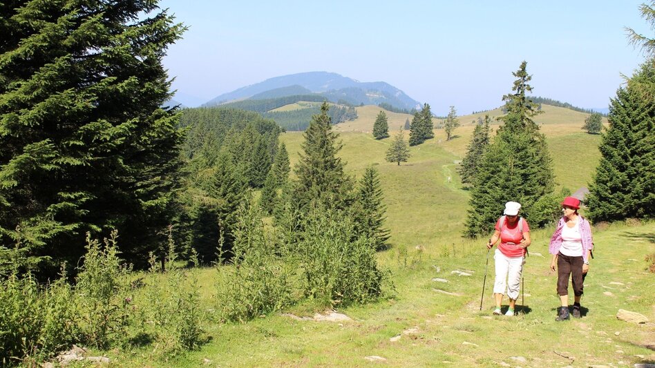 Wanderung Bergbauernrunde Gasen - Touren-Impression #2.7 | © Oststeiermark Tourismus