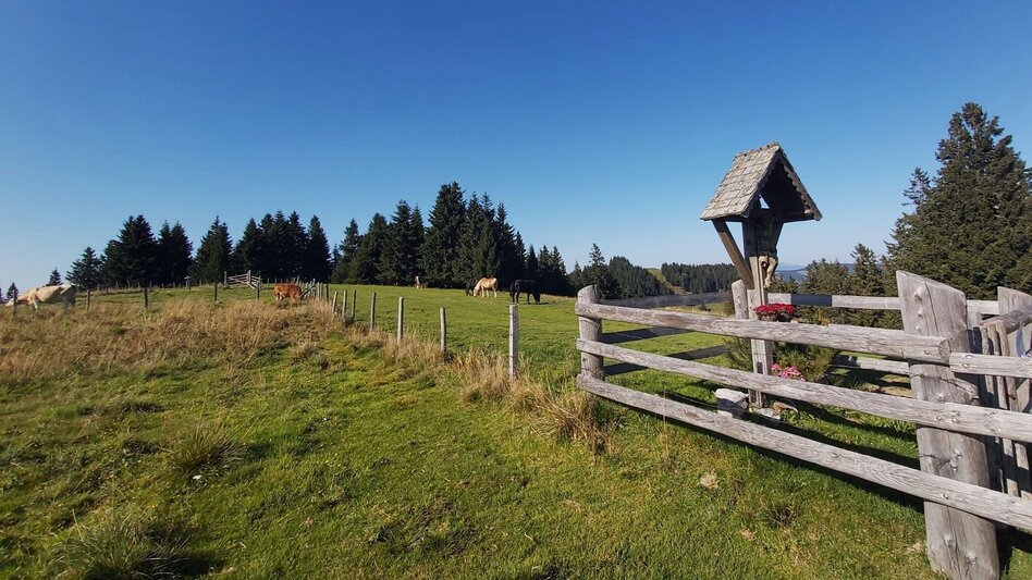 Wanderung Heulantsch-Runde, Teichalm - Touren-Impression #2.4 | © Oststeiermark Tourismus