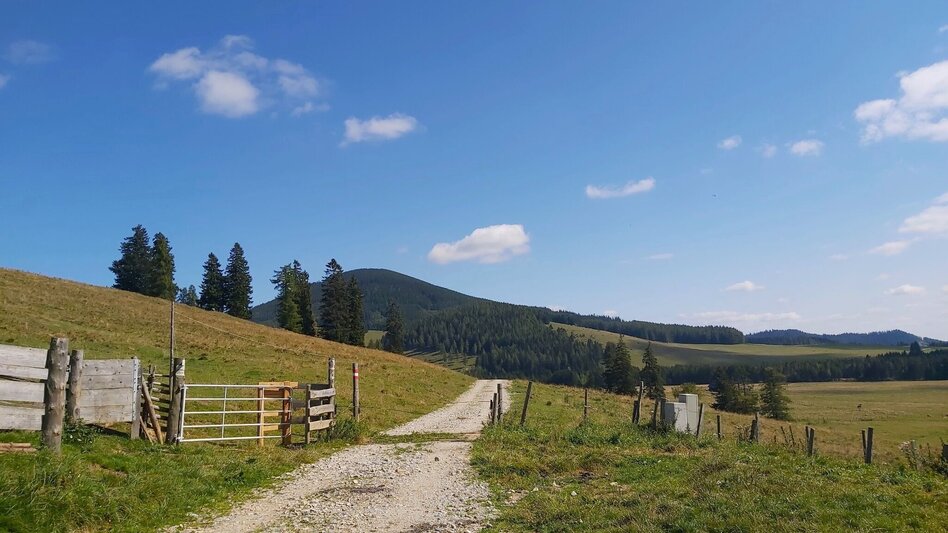 Wanderung Osser-Runde, Teichalm - Touren-Impression #2.14 | © Oststeiermark Tourismus
