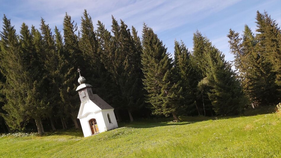 Wanderung Almenland-Wanderweg, Teichalm - Touren-Impression #2.6 | © Oststeiermark Tourismus