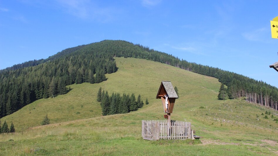 Wanderung Siebenkögel-Rundweg, Sommeralm - Touren-Impression #2.6 | © Oststeiermark Tourismus