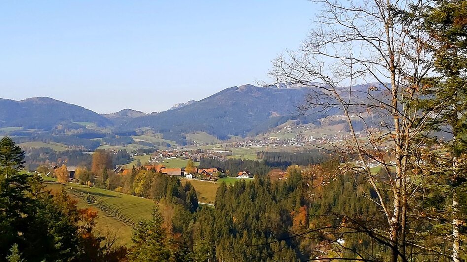 Themed Nature Trail Montan Lehrpfad Arzberg - Touren-Impression #2.7 | © Oststeiermark Tourismus