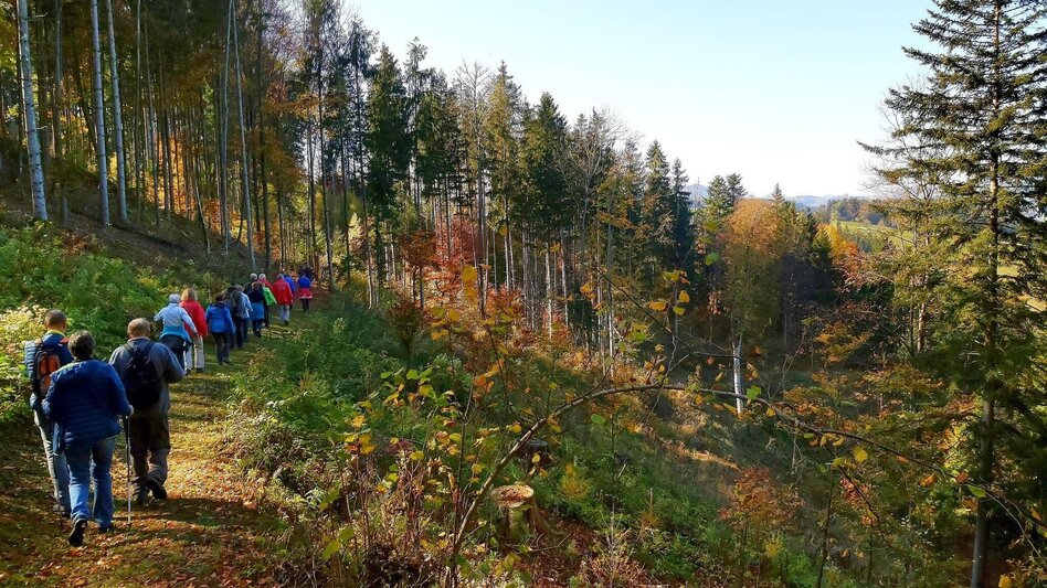 Themed Nature Trail Montan Lehrpfad Arzberg - Touren-Impression #2.9 | © Oststeiermark Tourismus