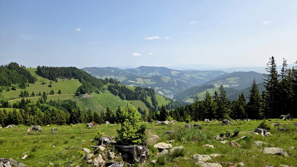 Hiking Route Plankogel - Round trip, Sommeralm - Touren-Impression #2.4 | © Oststeiermark Tourismus