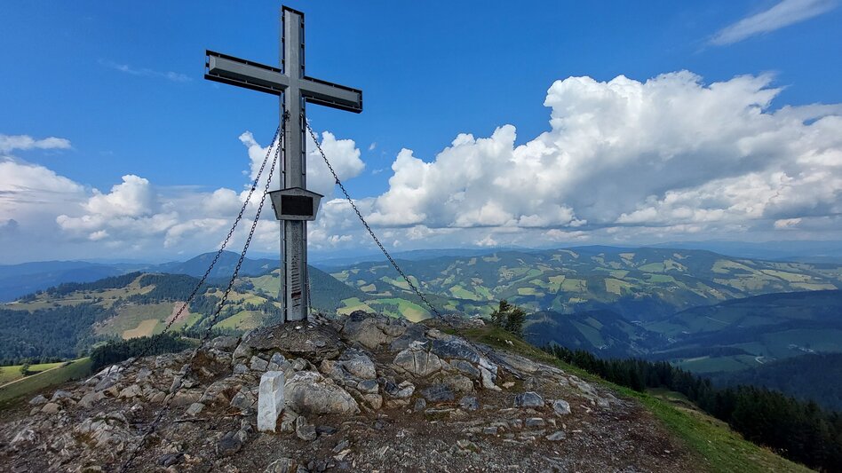 Hiking Route Plankogel - Round trip, Sommeralm - Touren-Impression #2.6 | © Oststeiermark Tourismus