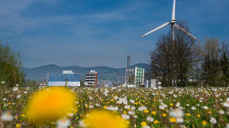 Wanderung Lebing-Runde, Hartberg - Touren-Impression #2.3 | © Tourismusverband Oststeiermark